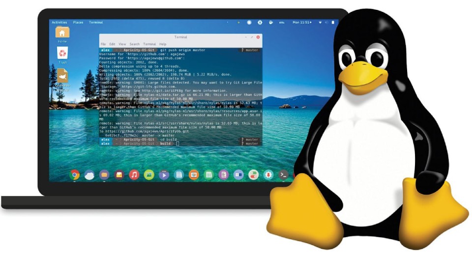 Linux Operating System Fundamentals LIN